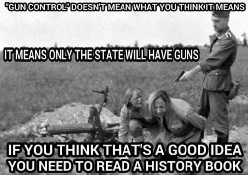 Gun-control = police state