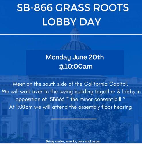 Sacramento, California - June 20, 2022 - Grassroots Lobby Day
