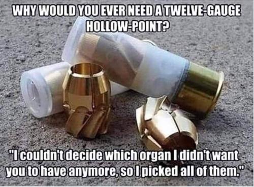 FB_IMG_1655189283802