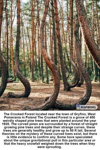 IMG_20220605_114237_752