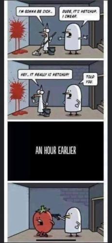 FB_IMG_1655306195272
