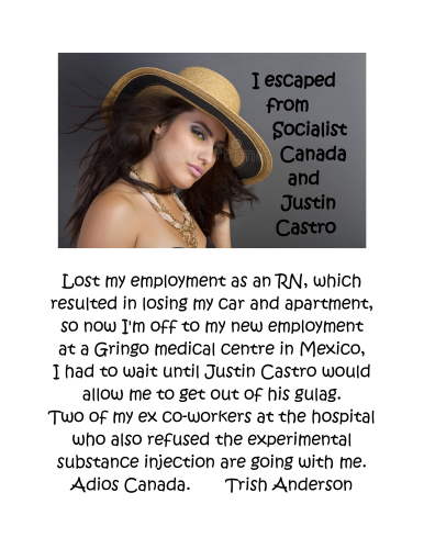 Trish Anderson-page-0