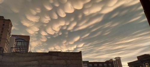 a21f84b5-a24d-4338-b5b7-b35c856859d3