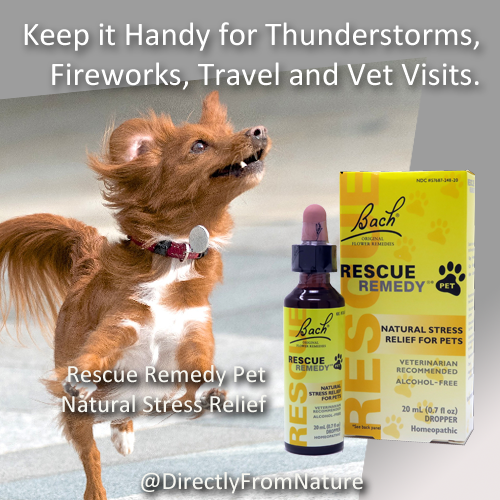 Rescue Remedy Pet 4th of July version 001