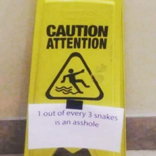 FB_IMG_1654532930648