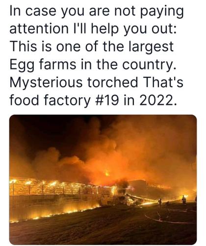 FB_IMG_1654463962422