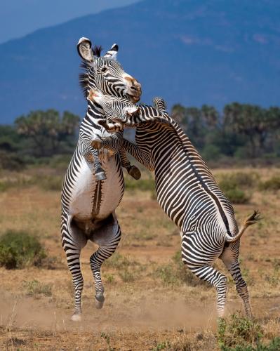 289359150_552136996361223_6782103227550995776_n