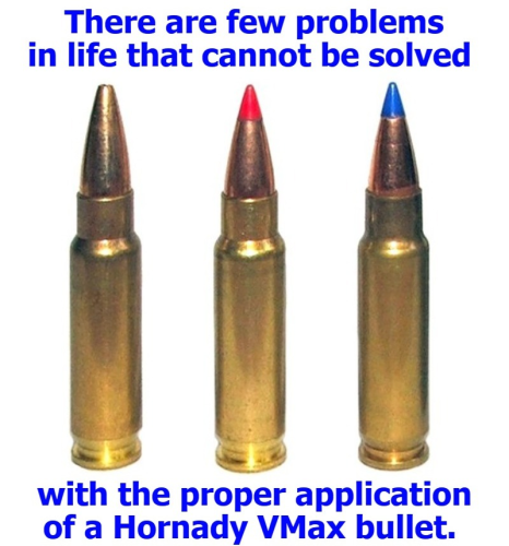 xephula_f2b57e5fb9513c2bd703fc4db2e8e058