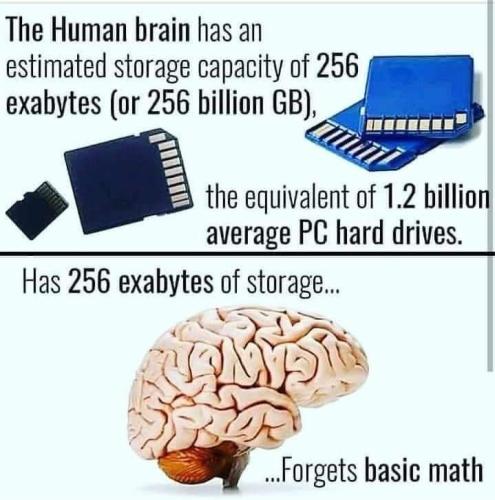 FB_IMG_1655755503123