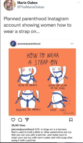 captures_chrome-capture-2022-5-15 (10)