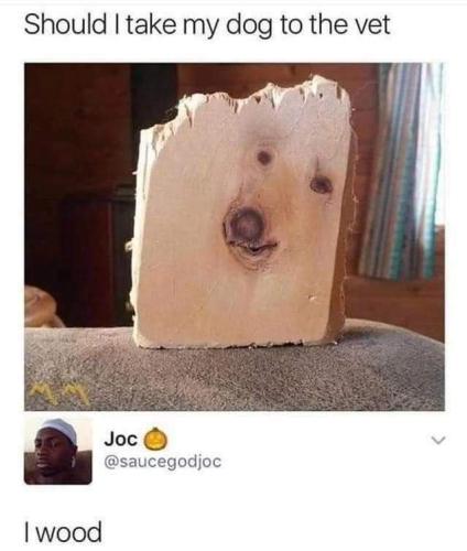 FB_IMG_1654715488862