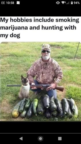 FB_IMG_1654365736464