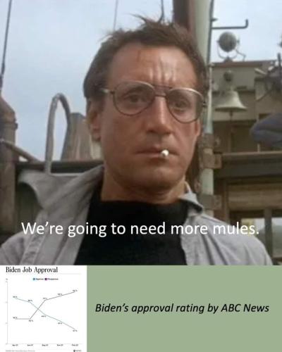 FB_IMG_1655241866024