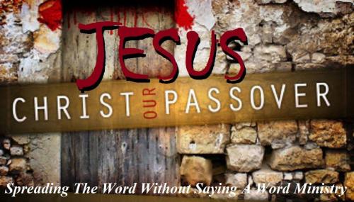 12772034_1004008983014566_4938517587225849068_o