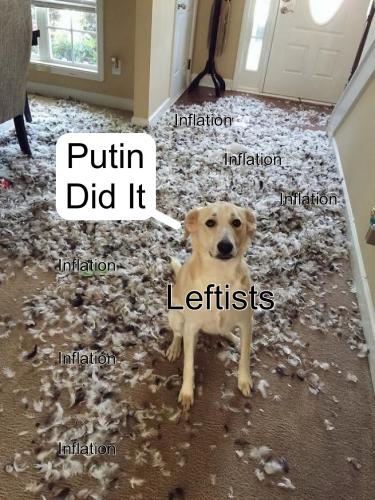 Leftists Putin Inflation - Dog with Feather Mess