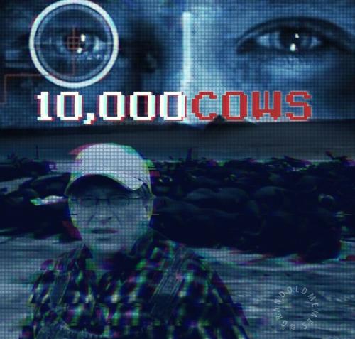 Screenshot_20220617-172500_Instagram