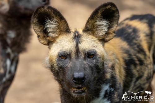 289566904_5137526066296868_8652572654908110532_n