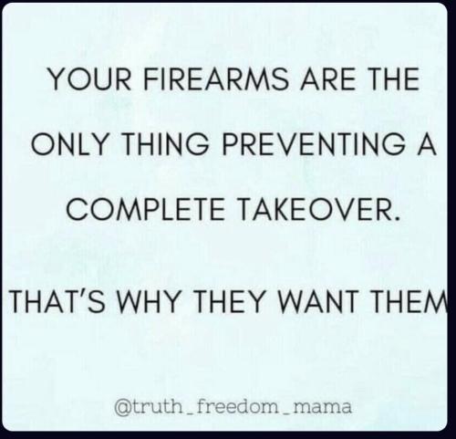 Guns 1