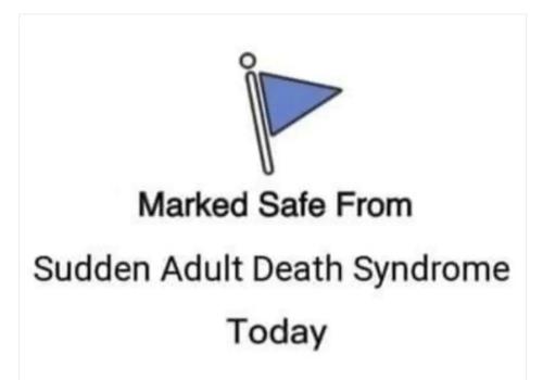 IMG_20220611_200125_512