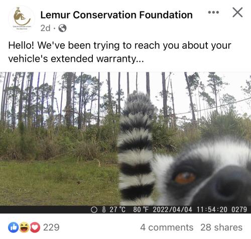 tumblr_fee12ce11a3920c9a982d1af5d736a0a_b8ef24ed_1280