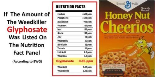 received_441446397822282