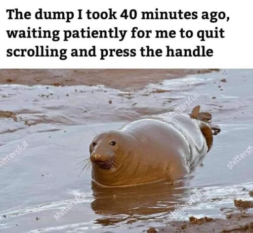 FB_IMG_1656604058153