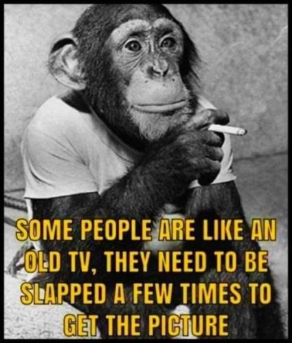 153553337_10215094844204676_2473007425885062552_n