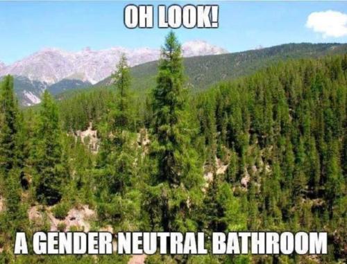 download - 2022-06-25T154218.513