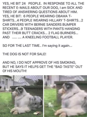 FB_IMG_1656173961953