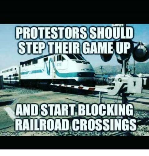 Protestors 1