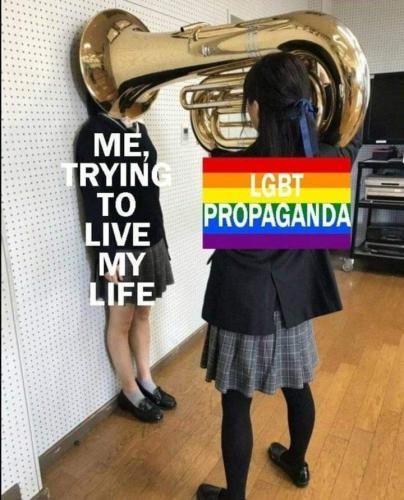 FB_IMG_1655181234833