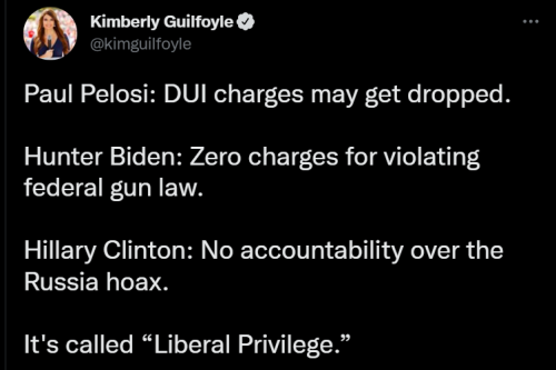 Liberal Privilege 1