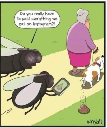 FB_IMG_1655479340047