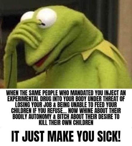 xephula_f905fe6feea4241655b7981ba072f49b