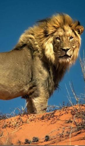 tumblr_fdc69e34b8cea3cf8098c8c2525d9f11_d3d053b1_640