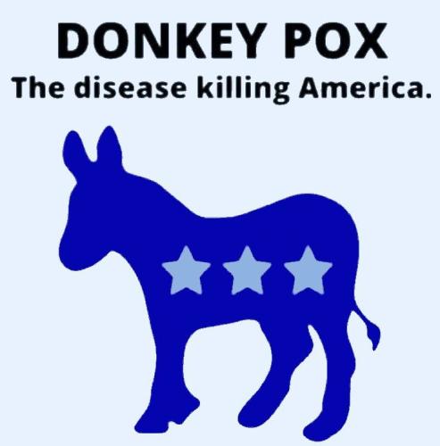 donkey pox2