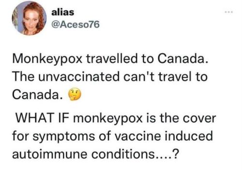 monkeypox22
