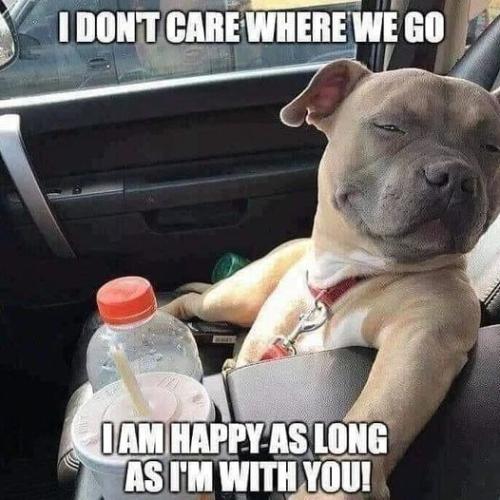 285728943_5335061006539921_1014352771409634883_n