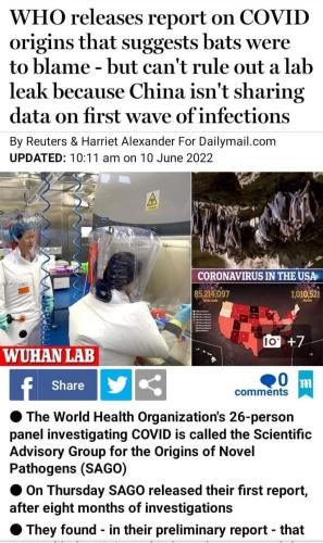 FB_IMG_1655242794046