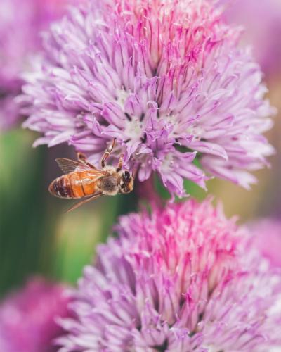 tumblr_f8f82b050ff0ef73a9b02ea31065a2d8_0de4d26d_540