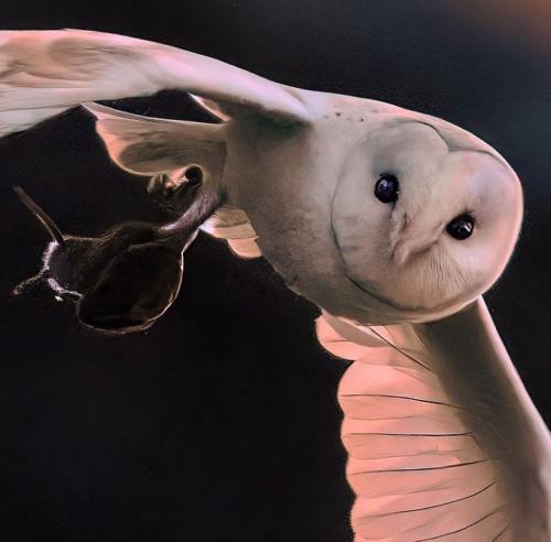 283986020_3181266652190803_469043648928148645_n