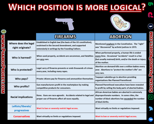 Firearms vs Abortion - Web-Social