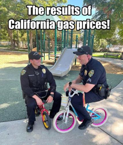 285368989_5556346541044430_7303411354840584622_n