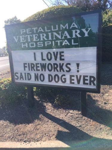 FB_IMG_1656597149293