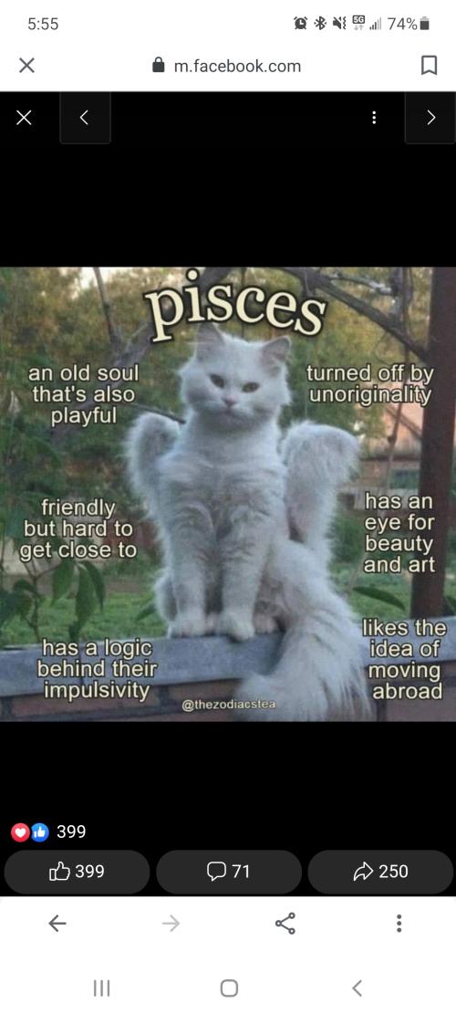 Screenshot_20220429-175542_Google