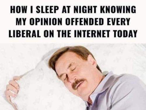 FB_IMG_1654794386681