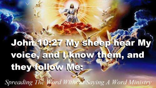 887195_1016656071749857_9025187042113479776_o