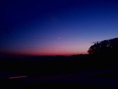 FB_IMG_1652160120479