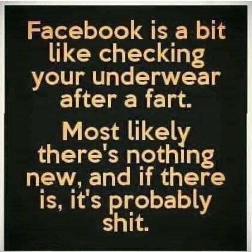 FB_IMG_1655152716109