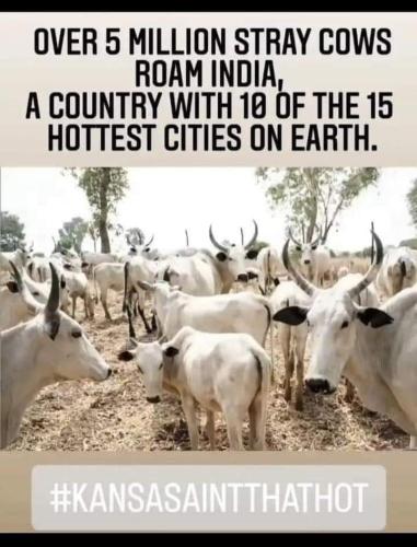 FB_IMG_1655947464498